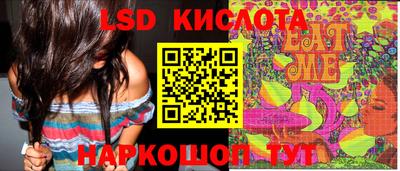винт Тара