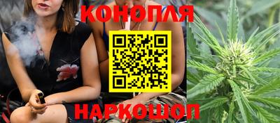 винт Тара